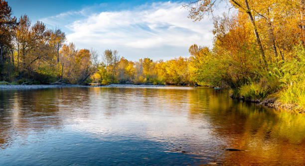 istock Boise river adorned in fall colored trees with reflection in the water 1186574167