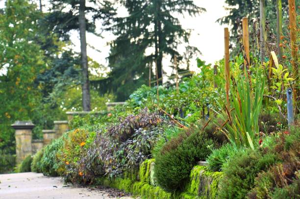 istock Lush fruit and vegetable walled garden 1186574348