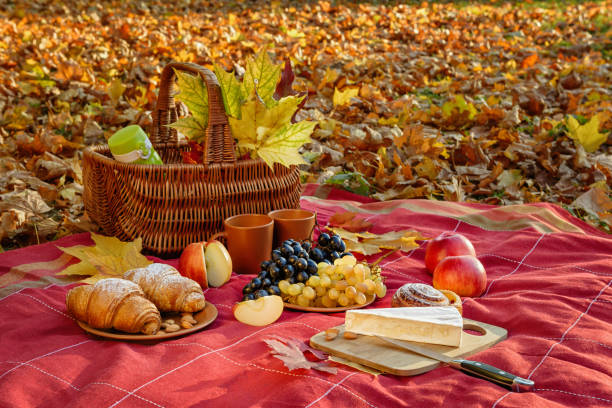 istock Still life with picnic autumn mood. 1186578205