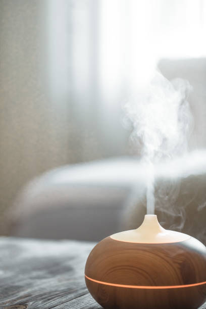 istock Humidifier on the table in the living room. 1186580245