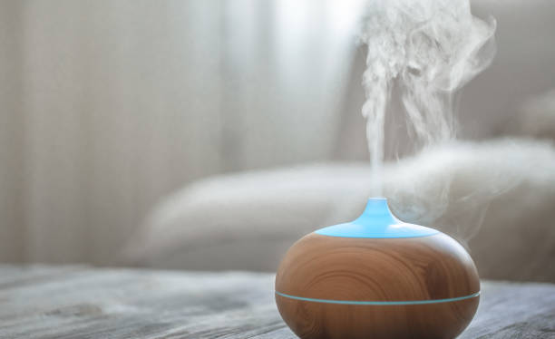 istock Humidifier on the table in the living room. 1186580263