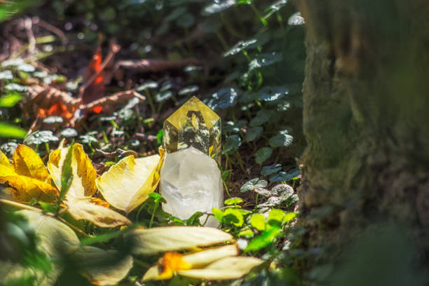 istock Healing crystals lying in autumn forest 1186581508