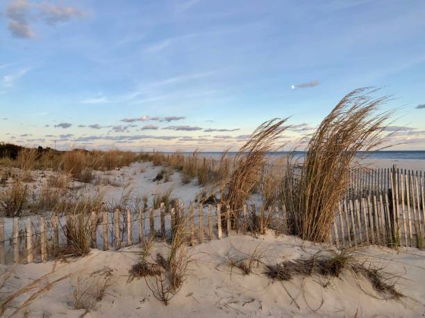 wydmy plażowe - sand sea oat grass beach sand dune zdjęcia i obrazy z banku zdjęć