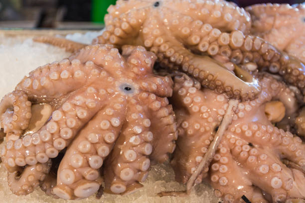istock fresh octopus on a fish market 1186583647