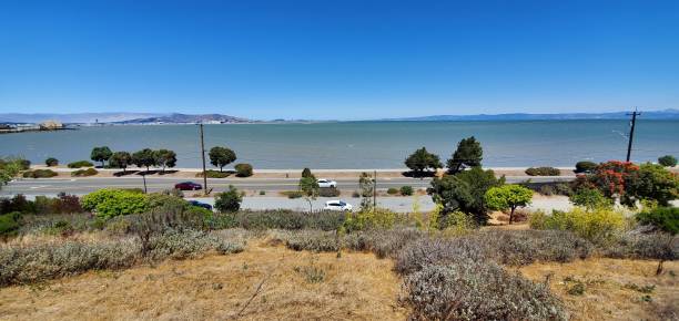 istock San Francisco Bay sfo 1186584296