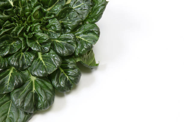 istock Tatsoi in a white background 1186584563