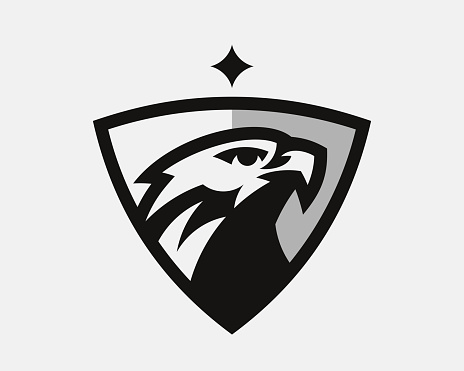 Eagle modern logo. Hawk emblem design editable for your business. Vector illustration.