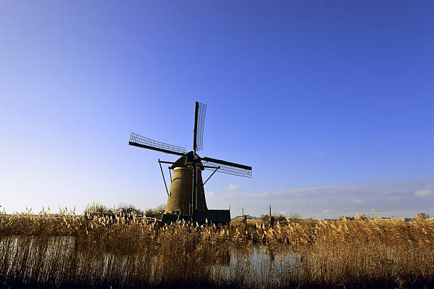 Cтоковое фото Голландский ветряная мельница против неба голубой Зима