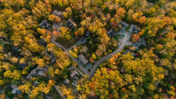 aérien de voisinage à l'automne - chapel hill photos et images de collection