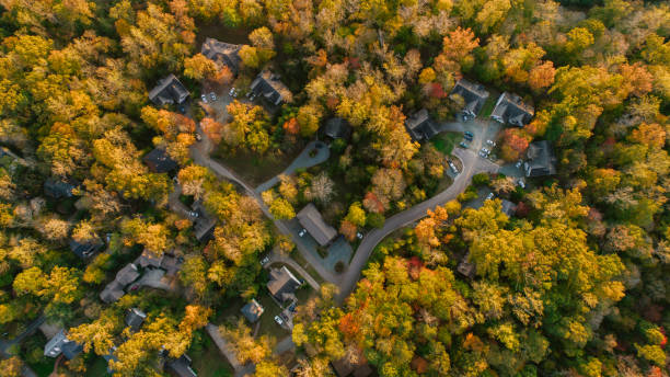 Aerial of Neighborhood in the Fall stock photo
