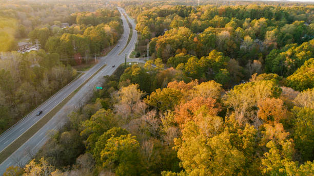 istock Road through Forest in Autumn 1186590939