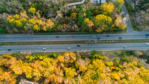 istock Road through Forest in Autumn 1186591616