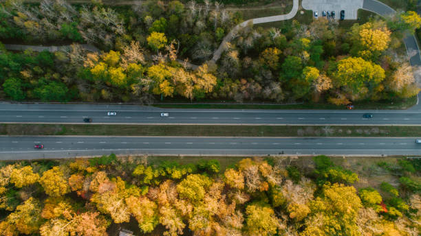 istock Road through Forest in Autumn 1186591643