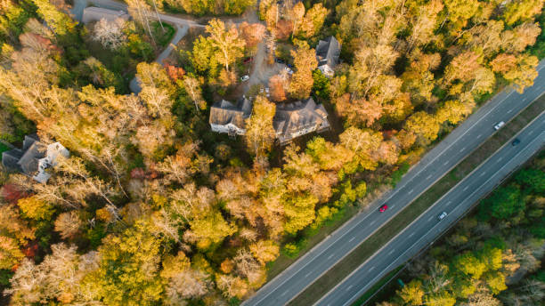 istock Road through Forest in Autumn 1186591644