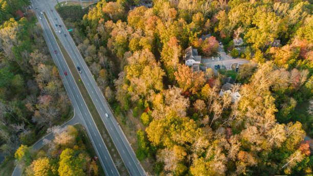 istock Road through Forest in Autumn 1186591647
