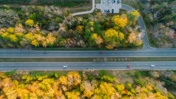 istock Road through Forest in Autumn 1186591665