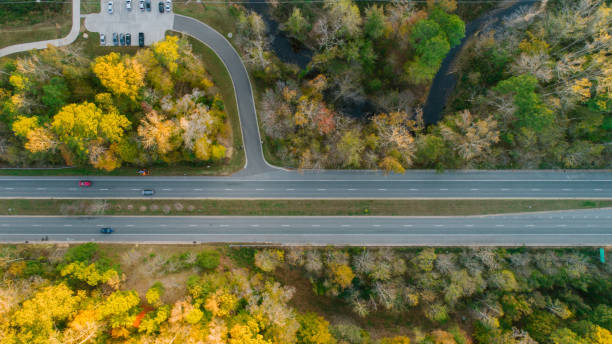 istock Road through Forest in Autumn 1186591722