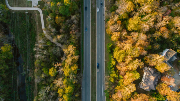 istock Road through Forest in Autumn 1186591727