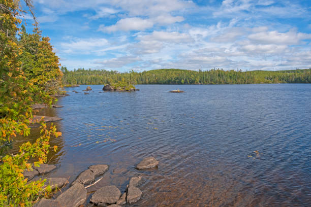 istock Sunny Day on a Wilderness Lake 1186600279