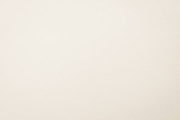 istock Paper texture in light white cream color 1186603794