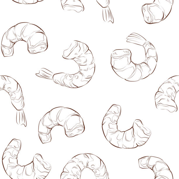 ilustrações de stock, clip art, desenhos animados e ícones de seamless vector pattern of hand drawn shrimp on a white background. realistic illustration. - shrimp