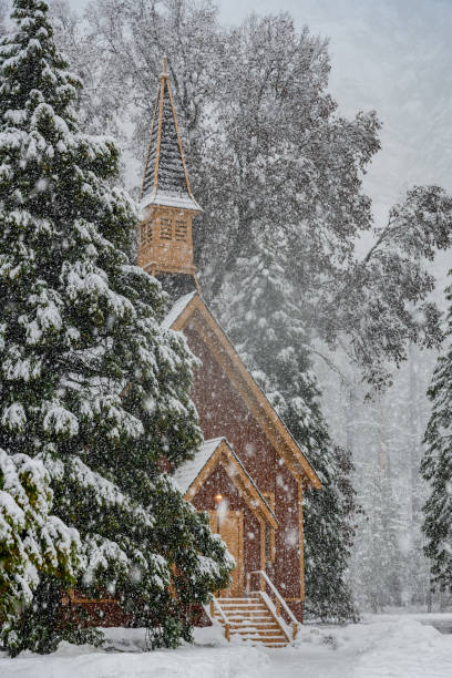 istock Yosemite Valley Chapel Hides Behind Snowy Pine 1186615127