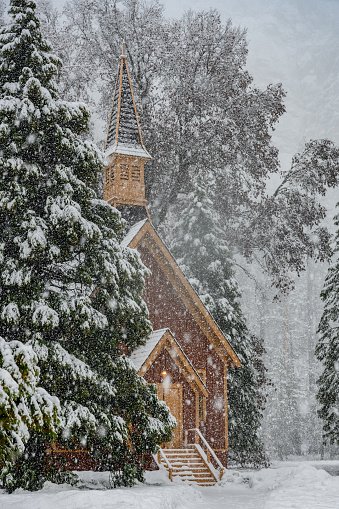 Yosemite Valley Chapel Hides Behind Snowy Pine during heavy snowfall