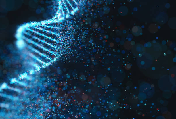 structure colorée de molécule d'adn de code génétique - human rna photos et images de collection
