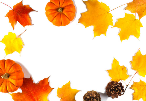 istock Autumn background with maple leaves and pumpkins, copy space, top view 1186616102