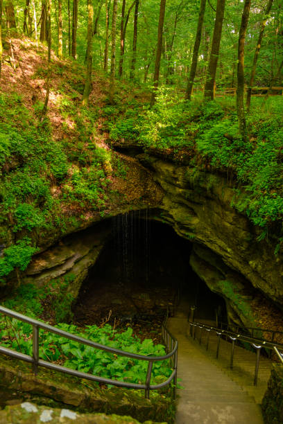 Cobb Cave panoramic, Lost Valley, Buffalo River, Arkansas.