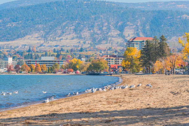 화창한 오후에 오카나간 호수의 오카나간 비치와 펜티턴 시내 의 전경 - okanagan penticton lake okanagan lake 뉴스 사진 이미지