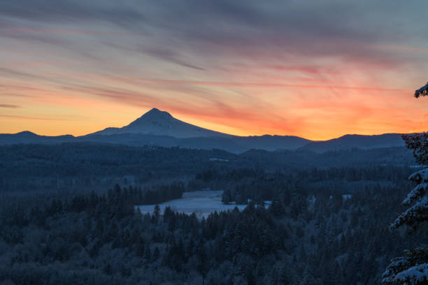 istock Field at Sunrise Below Mt. Hood 1186621007