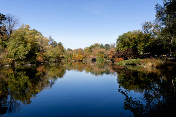 istock Autumn Pond in Central Park 1186622045