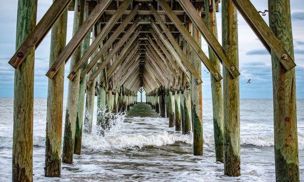 istock Surf City Pier 1186623499