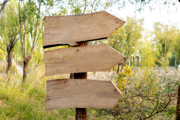 istock wooden road sign 1186623543