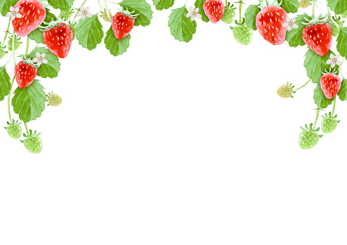 Natural Strawberry frame