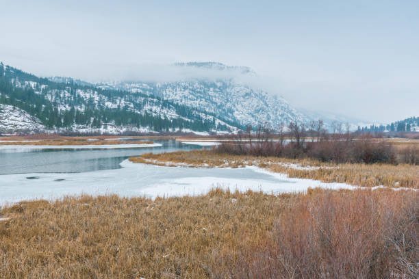 vista de las montañas cubiertas de nieve y pantano congeladas en el área protegida del lago vaseux - frozen cold lake reed fotografías e imágenes de stock