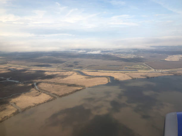 widok z lotu ptaka na nowy orlean, luizjańskie bagna - cypress swamp zdjęcia i obrazy z banku zdjęć