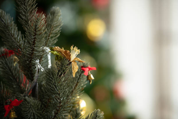 istock Christmas tree decorated in the living room 1186637176