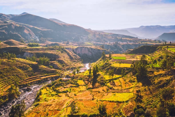 At Colca Canyon in Peru, South America, near the city of Arequipa, a river runs through a terraced field landscape.