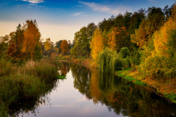 istock Tranquil colorful autumn landscape with reflection 1186641731