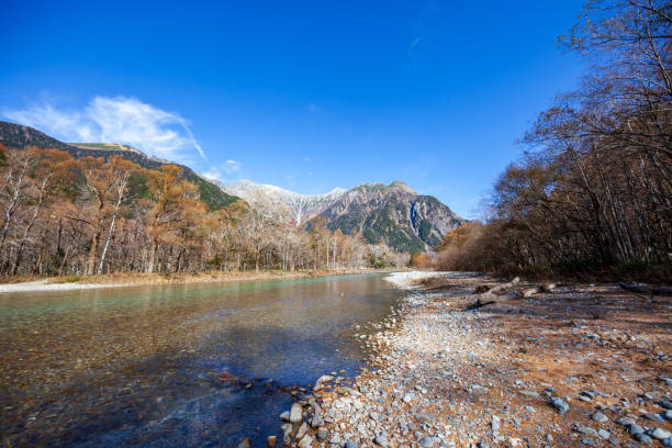 kamikochi japão, rio de azusagawa e árvores de larch, parque nacional de kamikochi no japão do norte. - kamikochi national park - fotografias e filmes do acervo