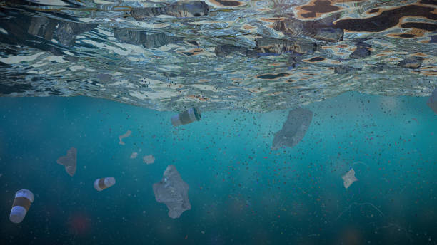 istock plastic pollution in ocean water, bottles floating in the current 1186642852