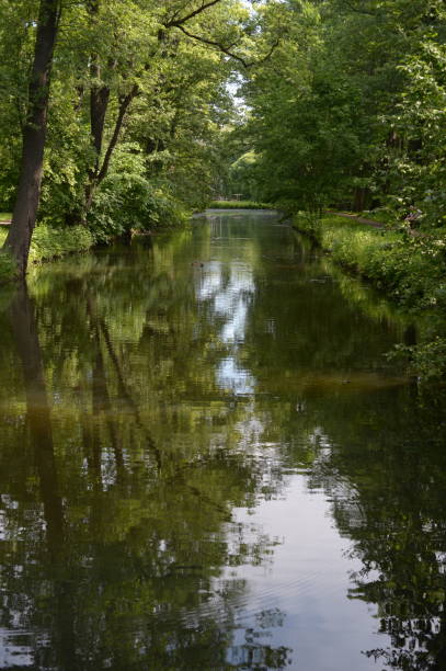 istock City pond overgrown with greenery. 1186643216