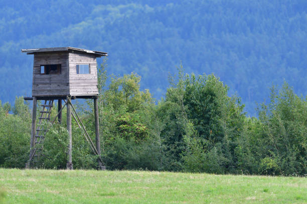 istock wooden lookout tower for birdwatching 1186662209