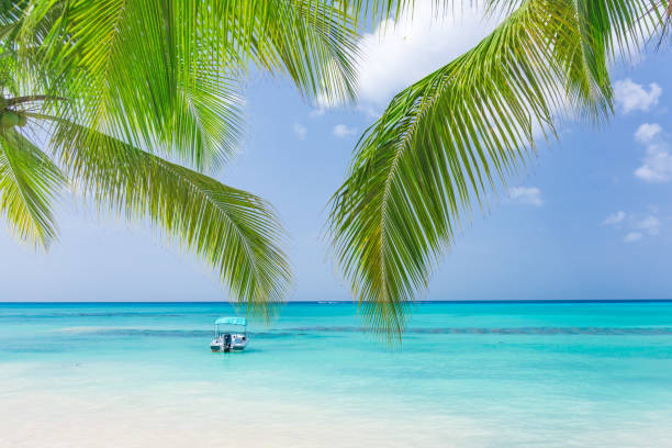 istock Boat Caribbean sea beach 1186664436