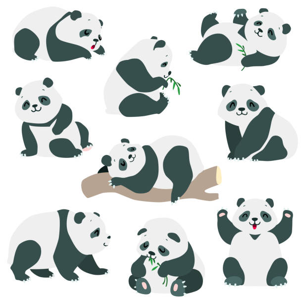 Set of pandas Cartoon illustration of cute baby panda bears in various poses isolated on white background. vector 8 EPS chinese panda stock illustrations