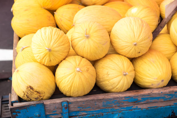 istock Yellow melons at the market 1186665083