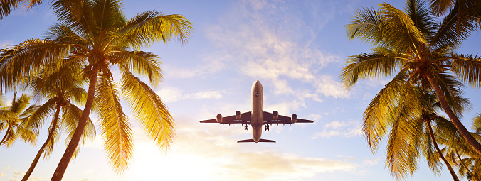 Coconut palms tree and airplane at sunset. Passenger plane above tropical island. Tropical holidays concept.