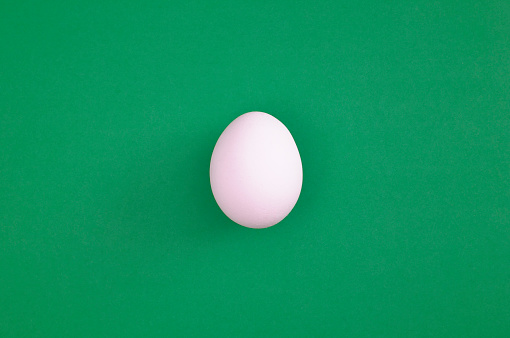 White egg on green background.